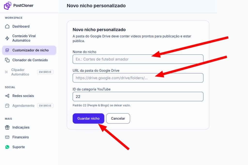 Formulário Novo nicho personalizado no PostCloner com nome, URL do Drive e categoria YouTube